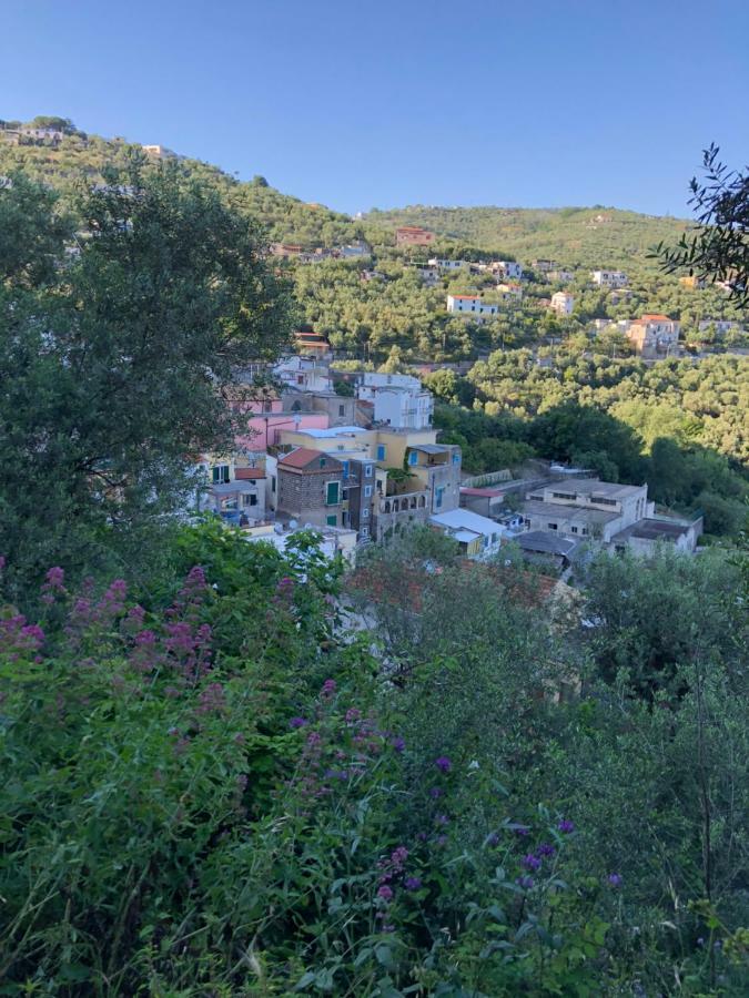 Petit Maison Jeranto Nerano Kültér fotó